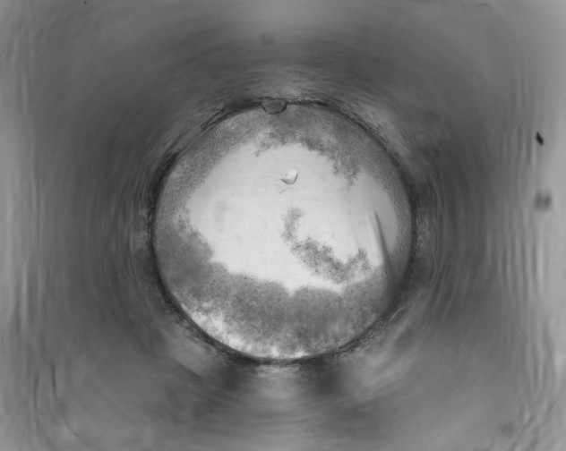 X0000090630457200708141438