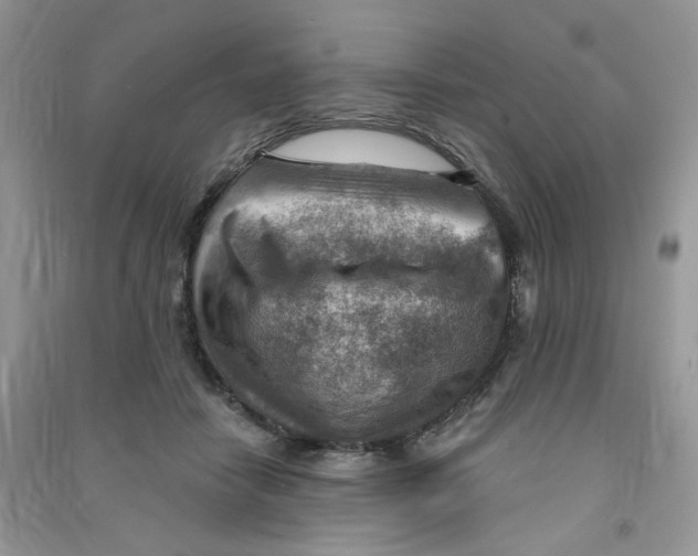 X0000090630458200708141438