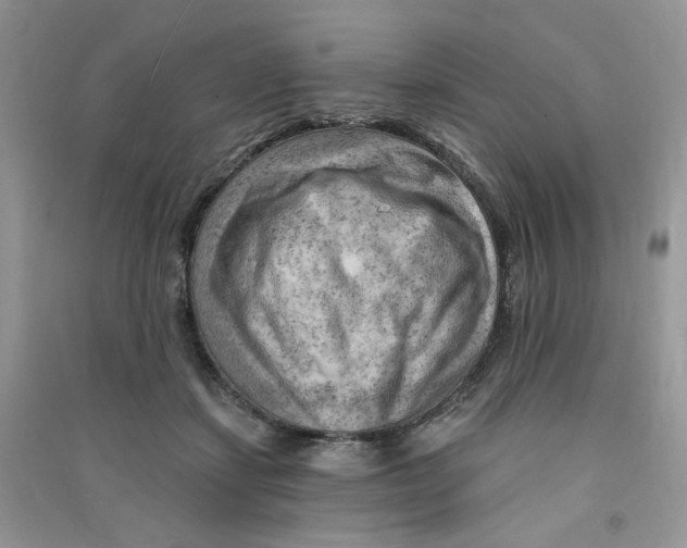 X0000090630459200708141438