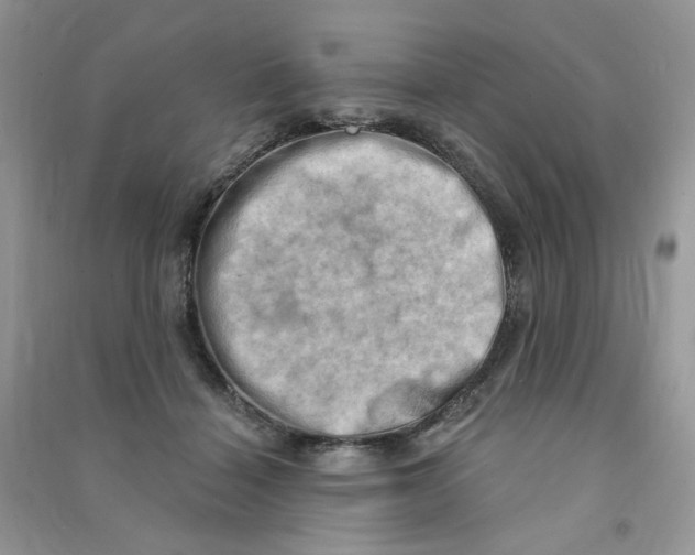 X0000090630460200708141438