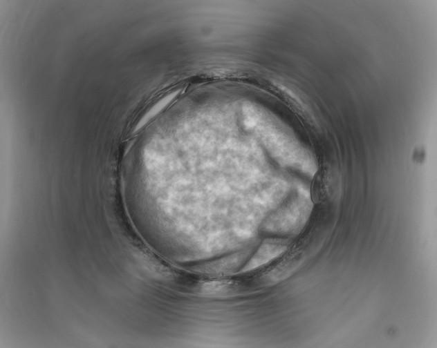 X0000090630461200708141438