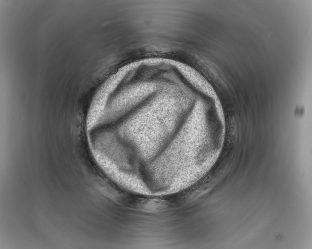 X0000090630463200708141438