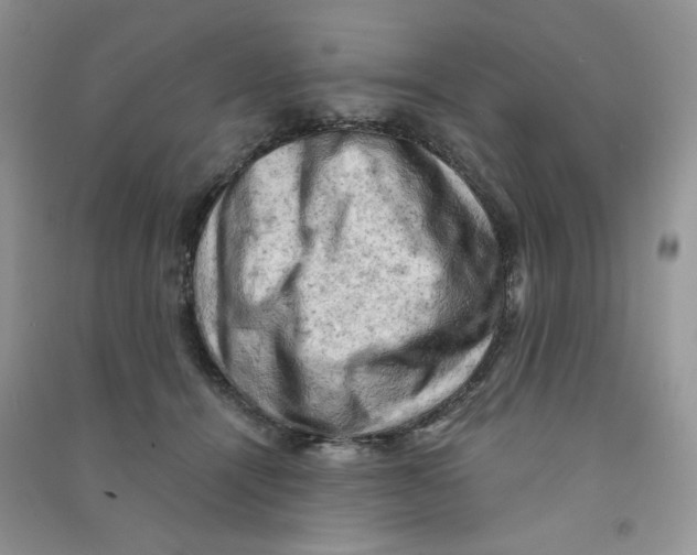 X0000090630464200708141438