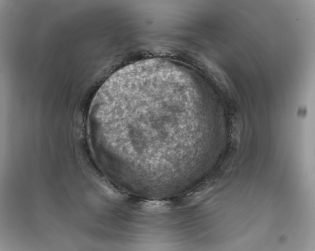 X0000090630465200708141438