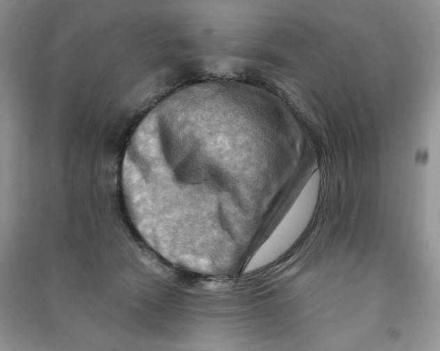 X0000090630466200708141438
