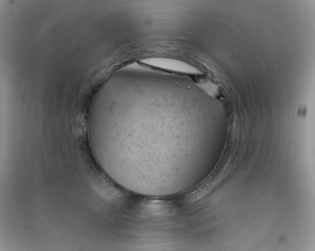 X0000090630467200708141438