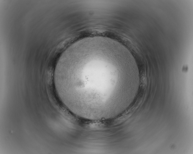 X0000090630468200708141438