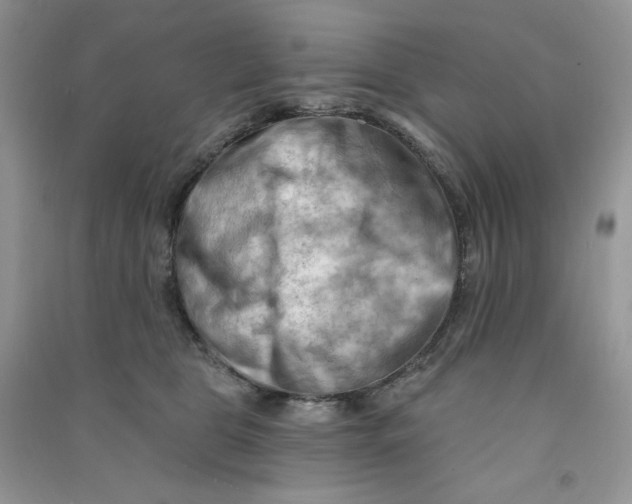 X0000090630469200708141438