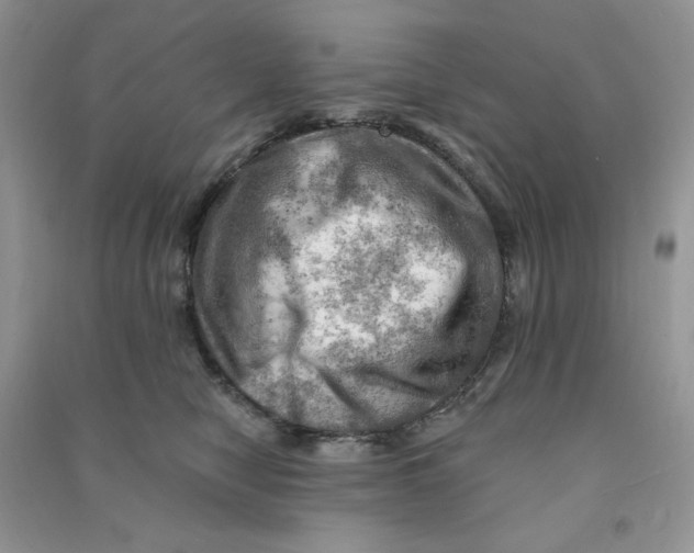 X0000090630470200708141438