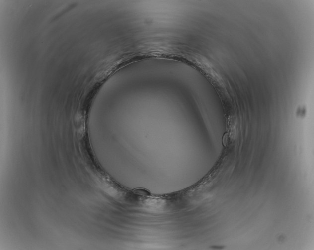 X0000090630471200708141438