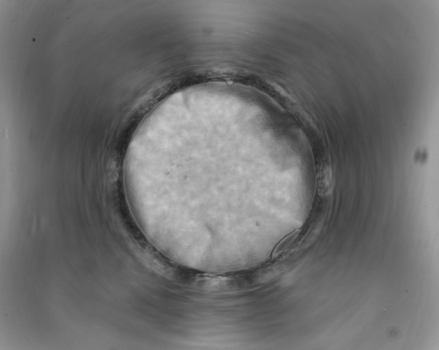 X0000090630472200708141438
