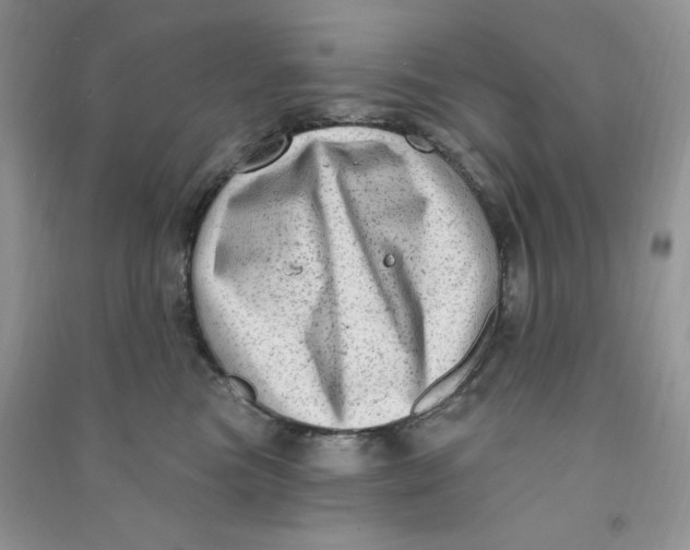 X0000090630473200708141438