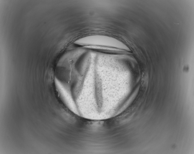 X0000090630474200708141438