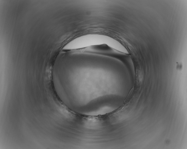 X0000090630475200708141438