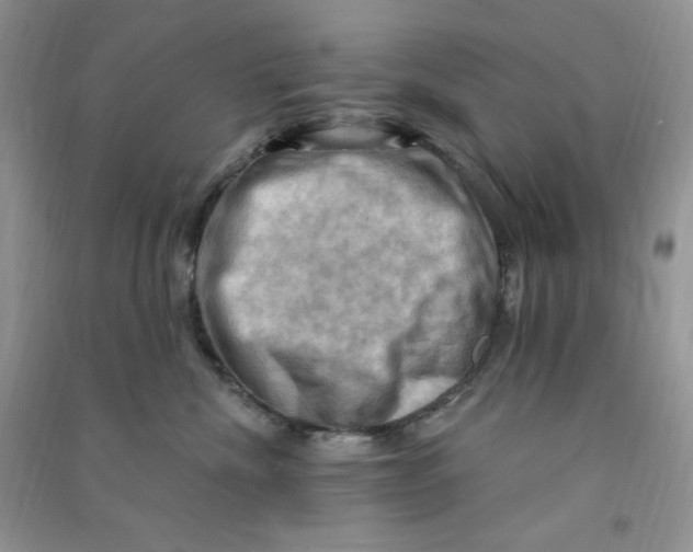 X0000090630476200708141438
