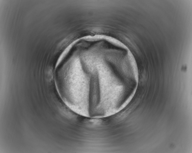 X0000090630478200708141438