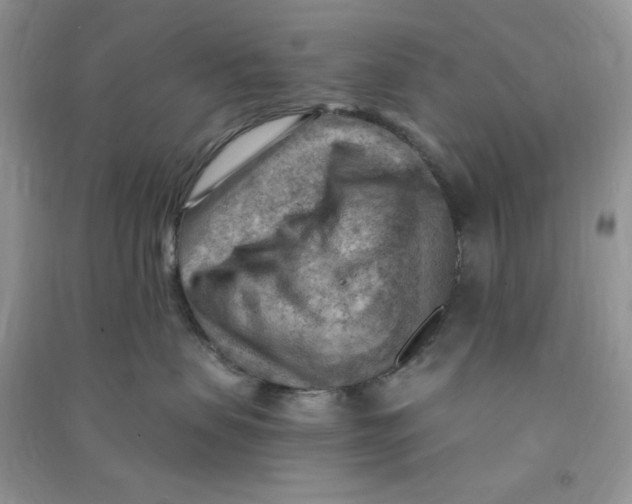 X0000090630479200708141438