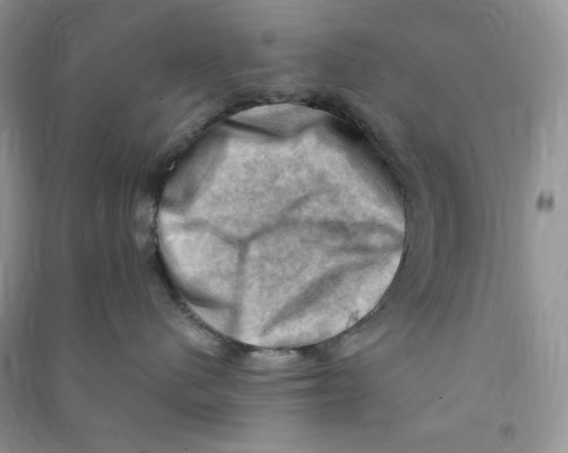 X0000090630480200708141438
