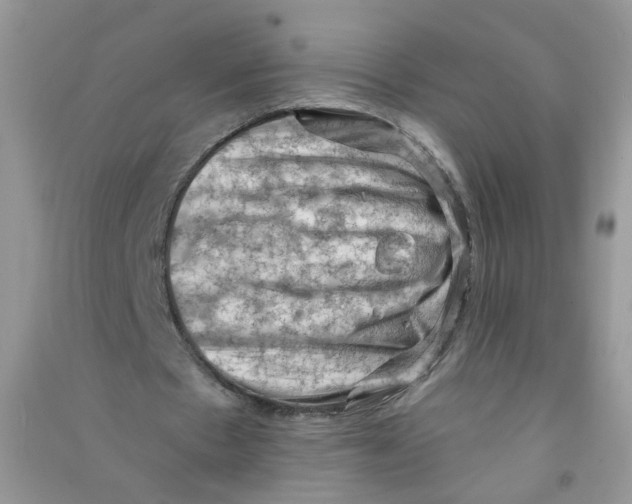 X0000090630481200708141437