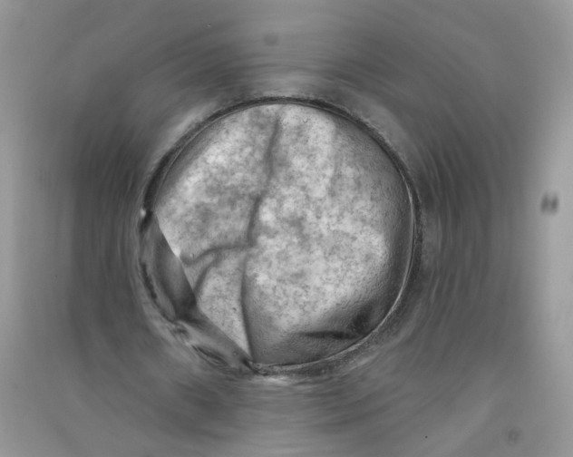 X0000090630482200708141437