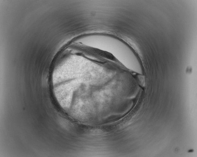 X0000090630483200708141437