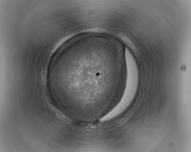 X0000090630484200708141437