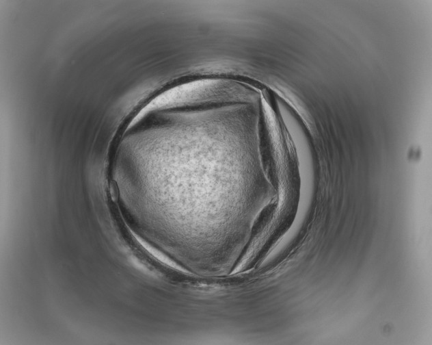 X0000090630485200708141437