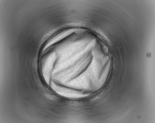 X0000090630486200708141437