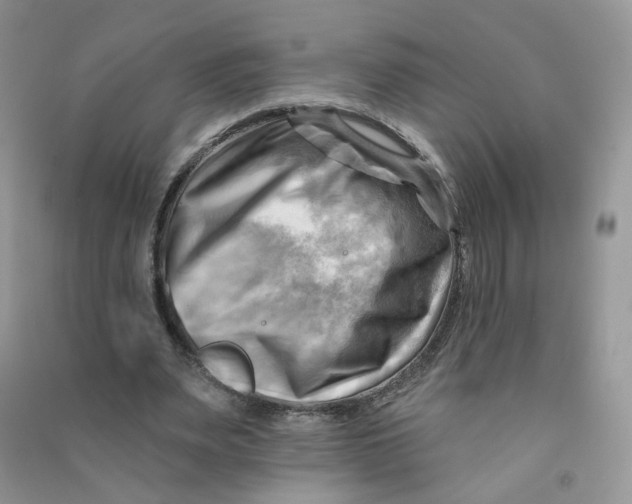 X0000090630487200708141437