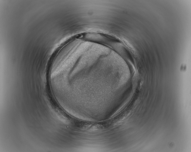 X0000090630488200708141437