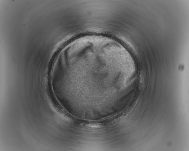 X0000090630492200708141437