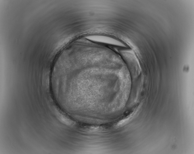 X0000090630493200708141437