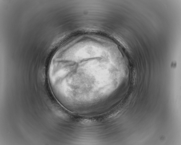 X0000090630494200708141437