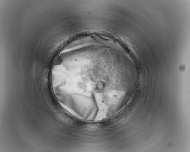 X0000090630495200708141437