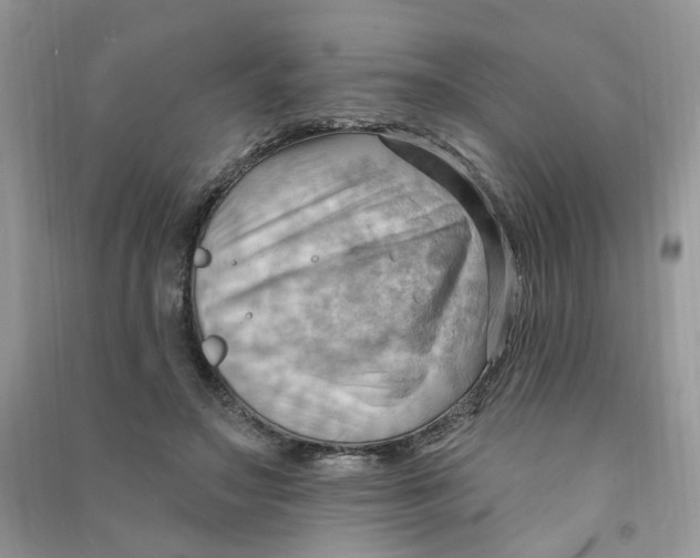 X0000090630499200708141437