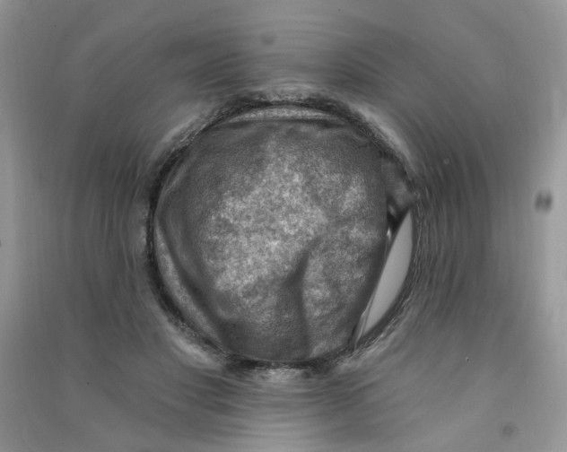 X0000090630501200708141437
