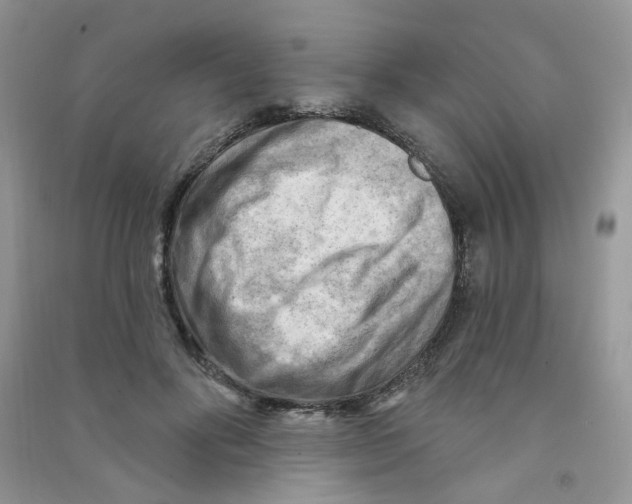 X0000090630502200708141437
