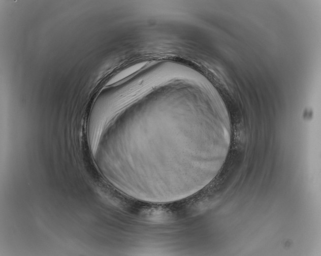 X0000090630503200708141437
