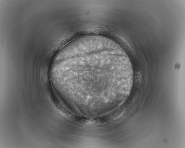 X0000090630504200708141437