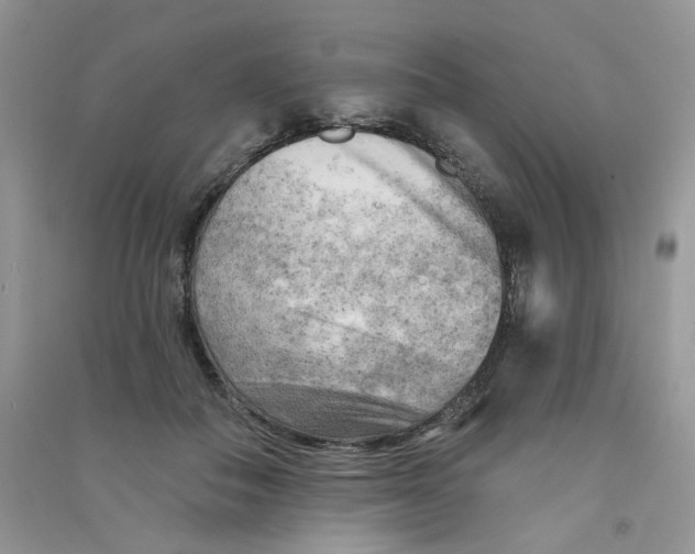 X0000090630506200708141437