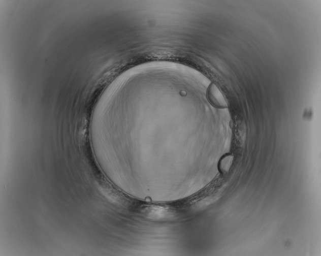 X0000090630507200708141437