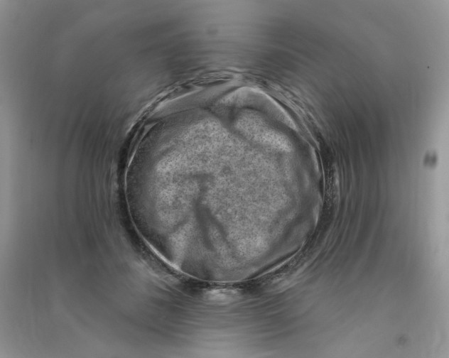 X0000090630508200708141437