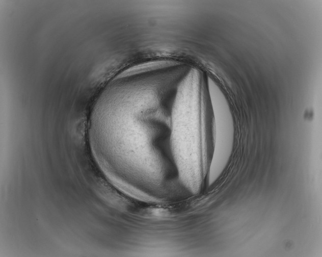 X0000090630509200708141437
