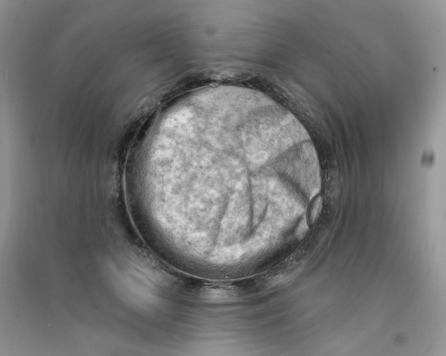 X0000090630510200708141437