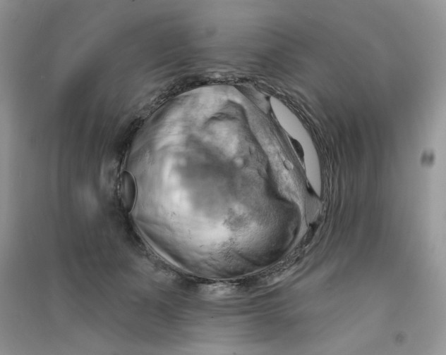 X0000090630511200708141437