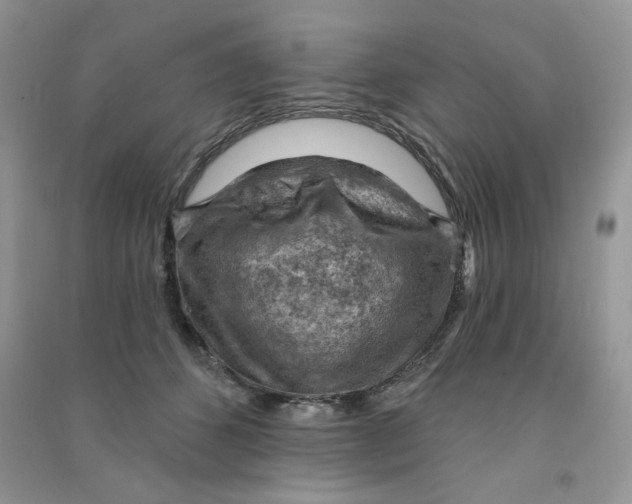 X0000090630512200708141437