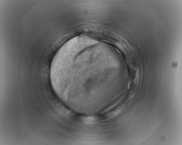 X0000090630513200708141437