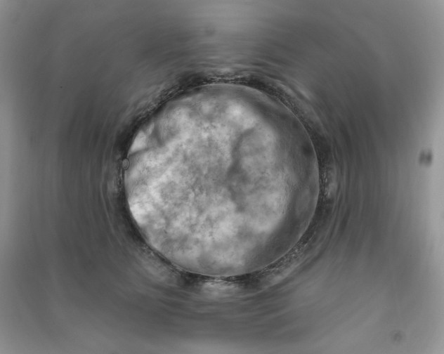 X0000090630515200708141437