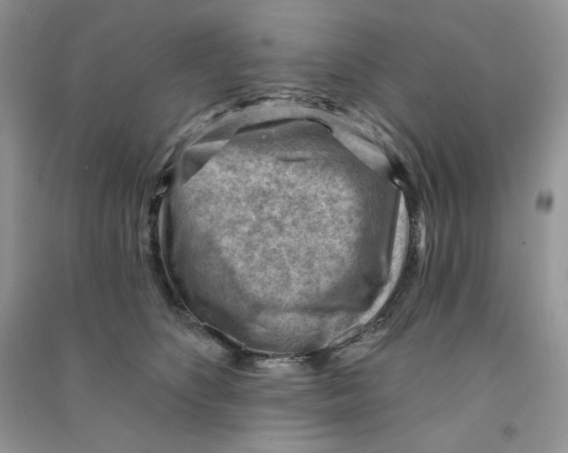 X0000090630516200708141437