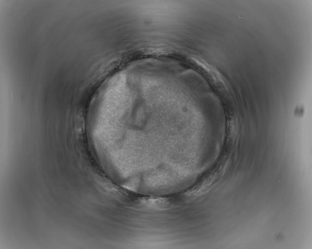 X0000090630517200708141437